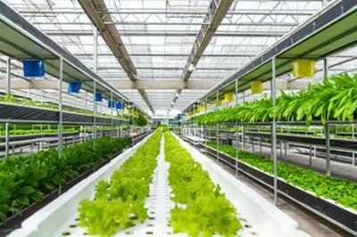 強化農(nóng)業(yè)科技創(chuàng)新與應(yīng)用的內(nèi)容,需實施現(xiàn)代種業(yè)科技支撐等行動