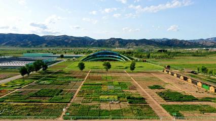 內(nèi)蒙古草種業(yè)技術(shù)創(chuàng)新中心獲批!加快向&ldquo;國家級&rdquo;目標邁進