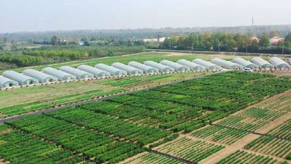 2021第三屆鄭州種業博覽會暨第六屆中原國際種業科技展覽會將啟