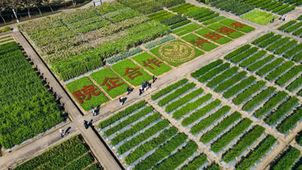 廣東種業,乘風破浪