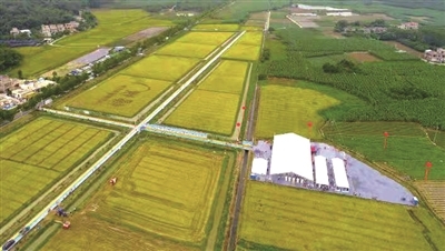 增城出臺扶持措施 大力度支持種業(yè)自主創(chuàng)新